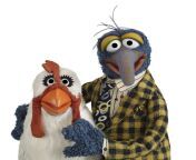 gonzo and camilla.jpg from gonzo