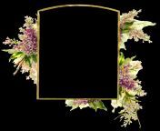png floral frame 24062.png from image037 png
