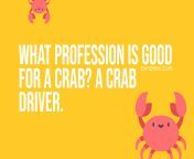 what profession is good for a crab a crab driver crab puns.png from crab driver