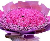 99 pink roses womens day.jpg from 99 pink com