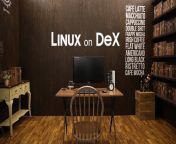 linux on dex.jpg from on dex