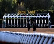santa anita horse 2021 racing1 1 18 jpgw1024 from wwwgirlssexvideos