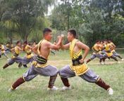 shaolin kung fu academy1.jpg from shaolin wushu kung fu school like tagou