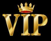 vip.png from mxxz vip