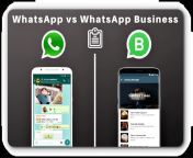 difference between whatsapp vs whatsapp business.png from whatass v