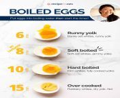 eggs infographic v3b.jpg from reiceve hard furk from nearbour
