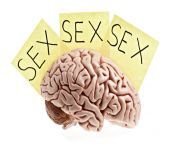 mans brain 000012952849 large.jpg from mental sex