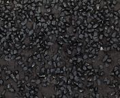 black tar heroin 1200x900.jpg from dark tar