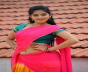 mouryaani in half saree photos 15.png from indian teluguties half saree showing their big boobs cleavage videossi office