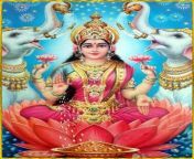 goddess lakshmi.jpg from tub hide parknchu lakshmi images