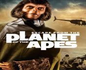 vizis2gzfaqgj6alaw4jth2bkpt.jpg from escape from the planet of the apes zira and cornelius nude fake