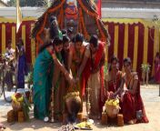 pongal celebrations.jpg from tamil nadu bhab