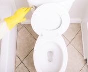 how to drain a toilet 2719044 01 7525f7c04aea4ad49db55b387d8a703f.jpg from repair toilet being wet remove the whole gay tmb jpg