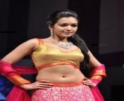 south indian actress hot navel hd24.jpg from south debit actress navel press