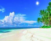 47 471539 sunny beach wallpaper beach sunny background.jpg from s7nny