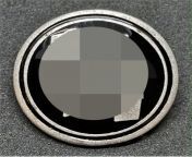 ss badge circle.jpg from ss www