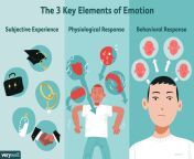 what are emotions 2795178 color1 5b76d23ac9e77c0050245d75.png from emotinal
