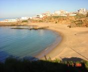 93814 la grande plage d el taref.jpg from 9hab el taref