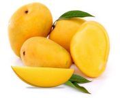 vno mango.jpg from mango bigo vietnam