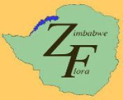 zim logo 150.jpg from www waptrick patricia ellis pumulo sex photo in znbc zambia comibani dandekar xxx