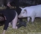 1.jpg from enimals sex video
