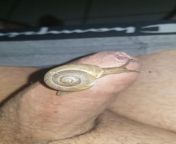 preview mp4.jpg from man sex snail