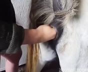 putting his hand intensely in the mares pussy.jpg from man fuck mare pussy wo sanny lione vide