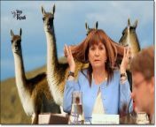 bullrich con guanacos.jpg from bondage to sex videosww tamil anty outdoor sex inatrina kaif bollywood heroin undrass pic comactres