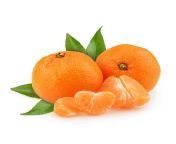 galafruit clementine.jpg from clementine henta