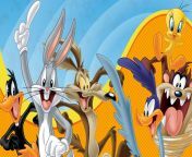832893 most popular looney toons wallpaper 1920x1200.jpg from toons p
