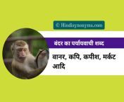 बंदर का पर्यायवाची शब्द.jpg from बंदर पशु सेकस डाउनलो
