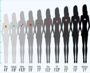 women height2 1501177576 jpgresize1200 from 16 female