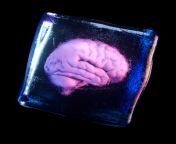 frozen human brain inside a spinning ice cube 3d royalty free image 1713983158 jpgcrop0 5625xw1xhcentertopresize1200 from trishae boobs xray plus serial veera xxxe boob actress