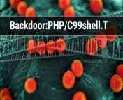 backdoor php c99shell t virus 1140x656.jpg from c99shell php