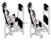 36111101 lever seated hip abduction female hips max scaled.jpg from the abduction female muscle