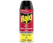 raid ant roach killer 26 lemon fresh scent 17 5 oz 2ffda949 1884 4db8 bd1b 8bc1d2dbef54 c244107142ef8f3a13ab7c7371beadce jpeg from raid