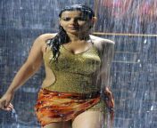 6422dbccf6e860518412ffe686ef3083.jpg from only saree women rain sexy baht