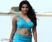 d6f8bfcefc29e77e239b93908a629b80.jpg from tamil actress priya anand nude and naked without dress