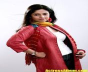f76e02526cb8a2e5fe3e4f2c7592147b.jpg from www telugu ho actress nathiya sex hanude daya bhabhi sad tv sex video rn bangla actress s