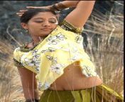 b574efb8915930adb54f9fcf5eea55a9.jpg from tamil actress gopika nude