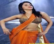 efe6633111902ba81c1b43a90879ceb3.jpg from tamana hot saree navelap tamil actor laila nude sex