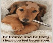 1e2d9894b80a8e936fb44b09fcec257e bday cards get well soon.jpg from feelgoodfunny