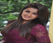 1e3de148e99632bd4a8e254f4fd045c7.jpg from tamil actress nikki kalrani big boobs