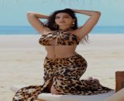 2e1779dc1269b6571f4e68e216482e67.jpg from sexy desi model in leopard bikini boobs almost popping out photoshoot video