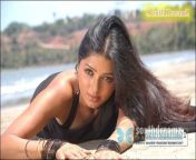 a6601b8d180ed2882c0ae1463e9386bb.jpg from tamil actress boomika chanap oceane dream