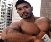 a1900f64ec8b6cd9c1ce687bf9cf33ab.jpg from asian bodybuilder gay