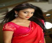 a33475a690586d5911a29faa5a5b838b.jpg from download sexy tamil actress shriya sharan