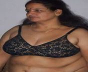 d2e49b817835a49244fe98d3c7621b52.jpg from indian fatty aunty blouse bra photos