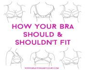 ba849ed72beebf5582dd1f8d2f9f02b1.jpg from how to fit a bra 124 measuring bra size 124 mrbra com lingerie guide