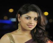 59f1d72baa77d9e376aba27a933e0372.jpg from tamil actress richa